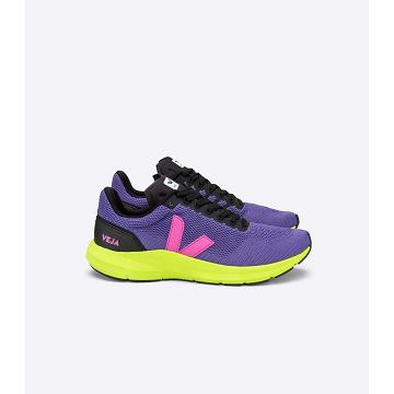 Veja MARLIN LT V KNIT Men's Shoes Purple | NZ 238OKI